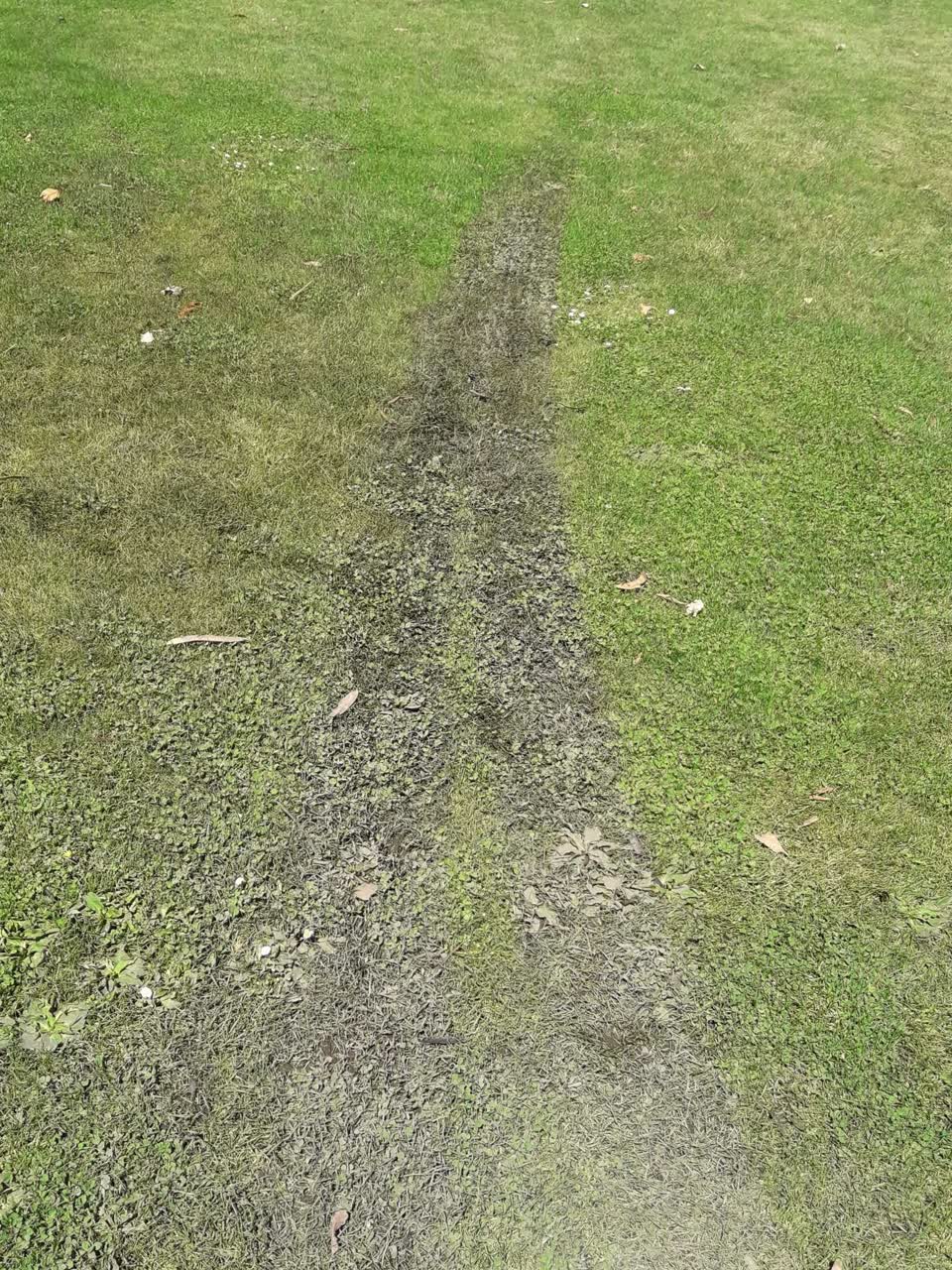 The photograph attached to this parks report