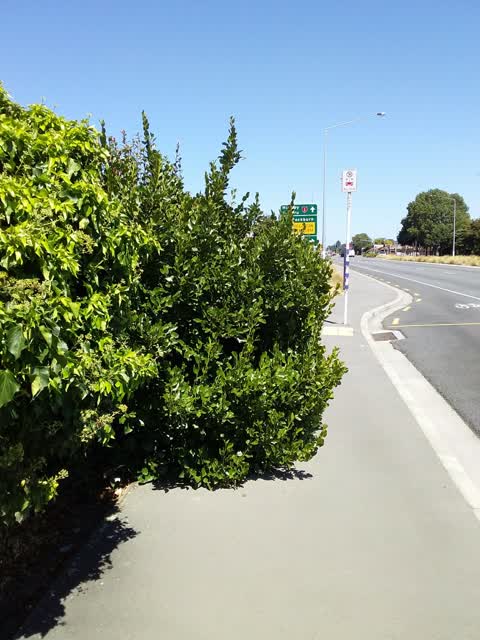 Roading/Streets, a report photo