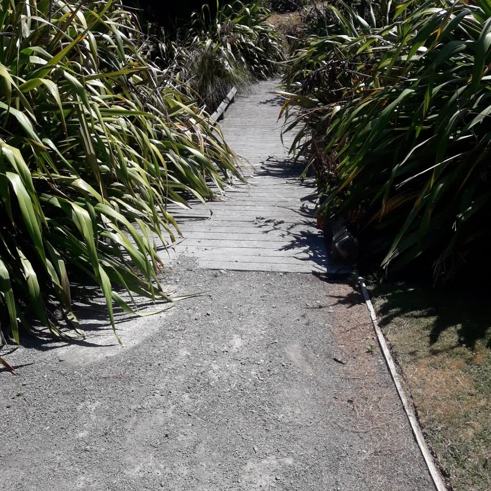 The photograph attached to this parks report