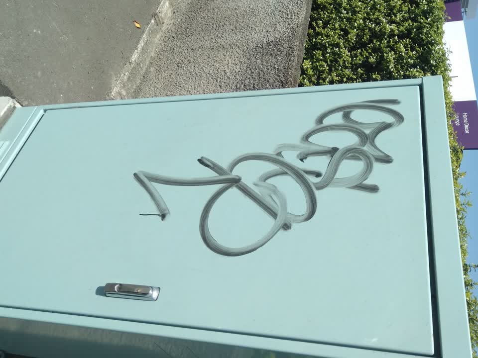 The photograph attached to this graffiti report
