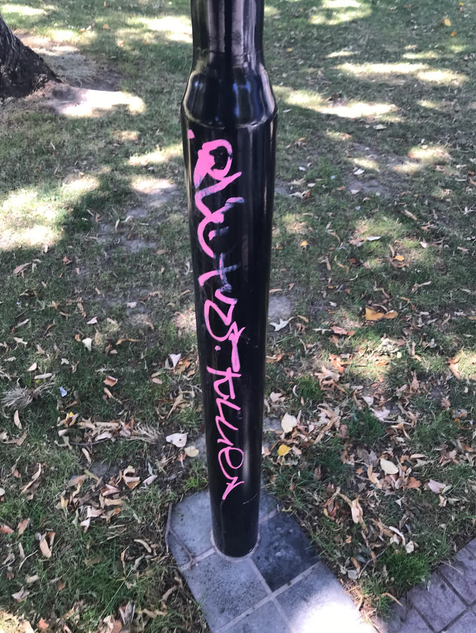 The photograph attached to this graffiti report