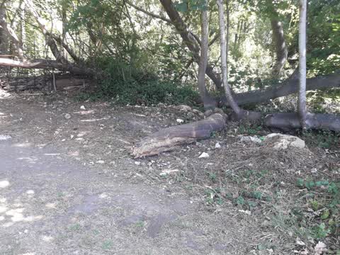 Parks, a report photo