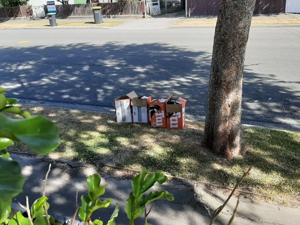The photograph attached to this rubbish/recycling report