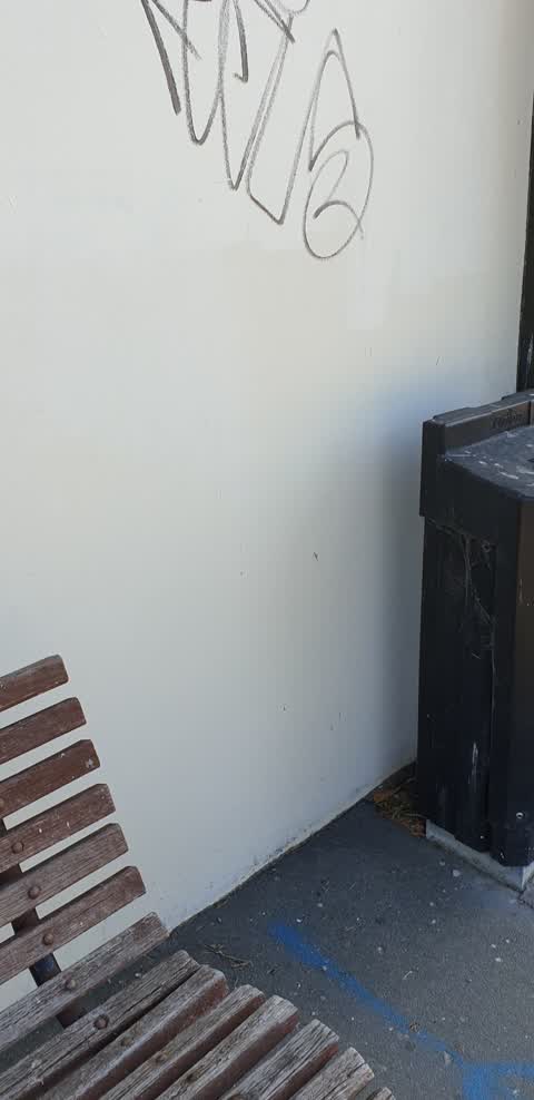 Graffiti, a report photo