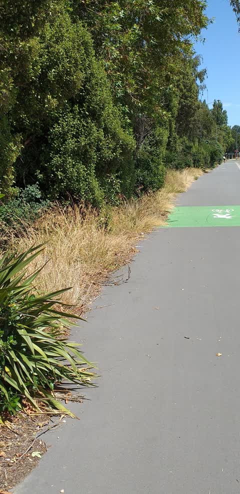 Roading/Streets, a report photo