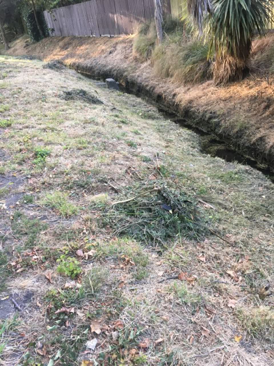 The photograph attached to this parks report