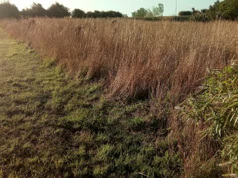 Parks, a report photo