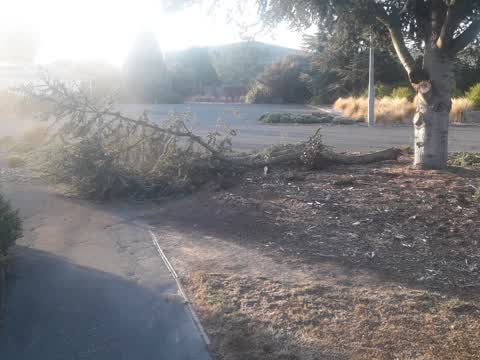 Parks — a report photo