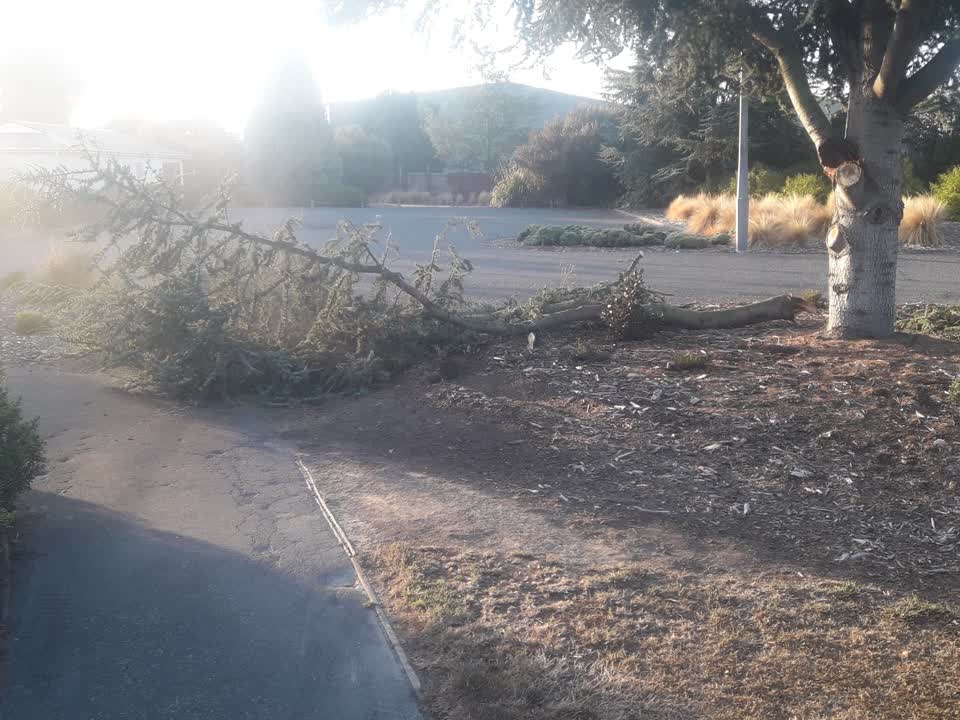 The photograph attached to this parks report