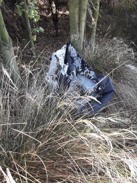 Rubbish/Recycling — a report photo