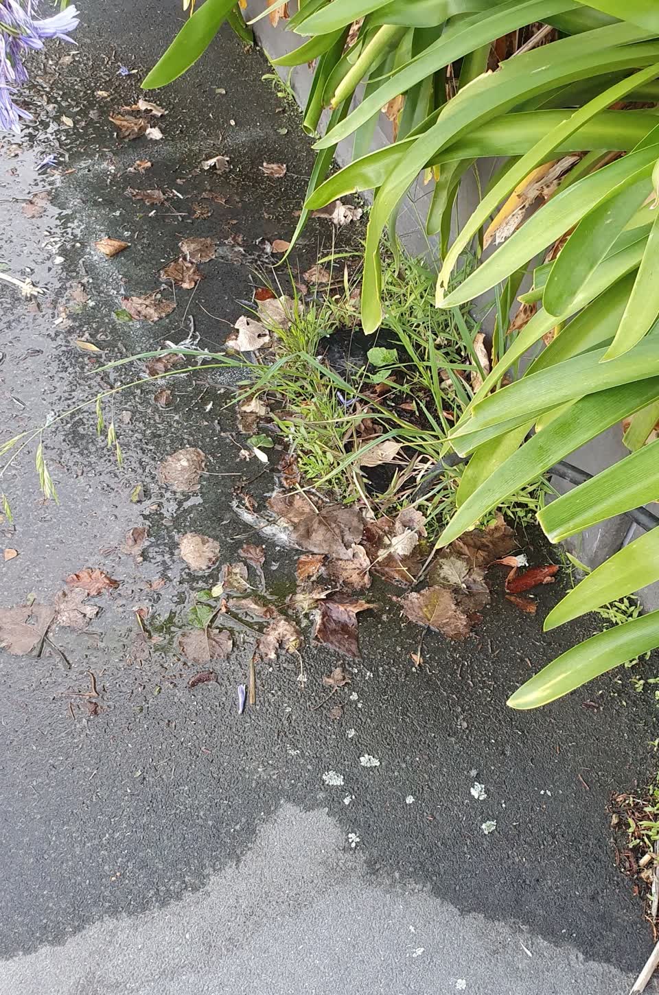 The photograph attached to this water supply report