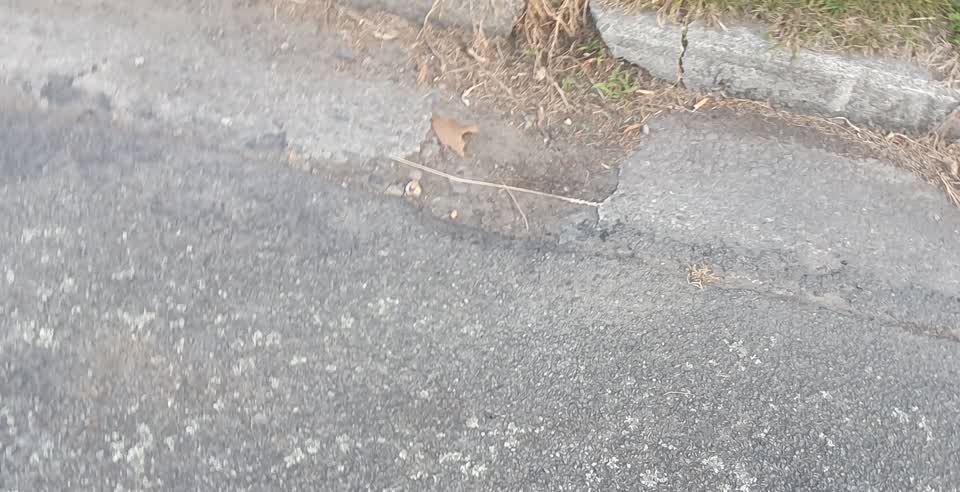The photograph attached to this roading/streets report