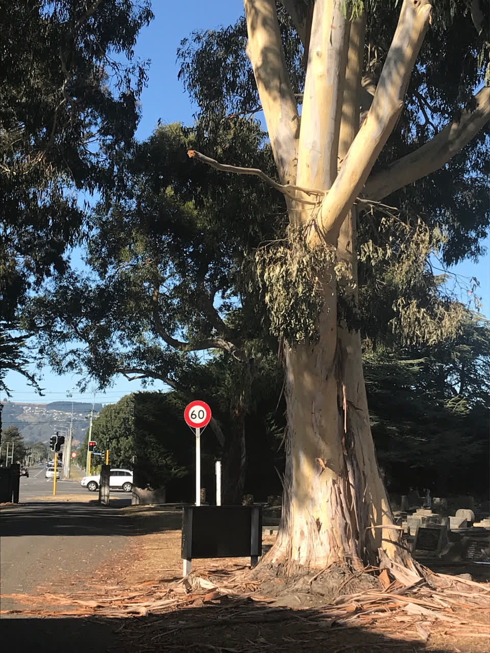 The photograph attached to this parks report
