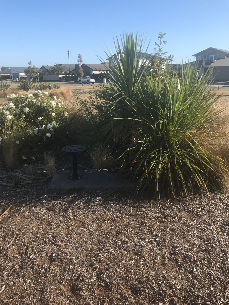 The photograph attached to this parks report