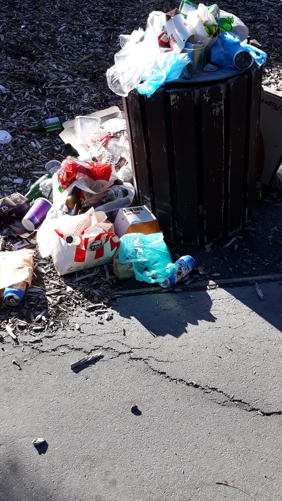 The photograph attached to this rubbish/recycling report