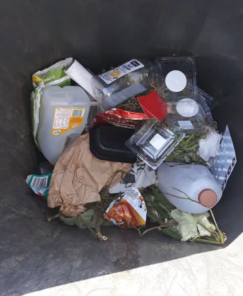 Rubbish/Recycling, a report photo