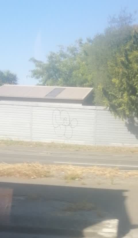 Graffiti, a report photo