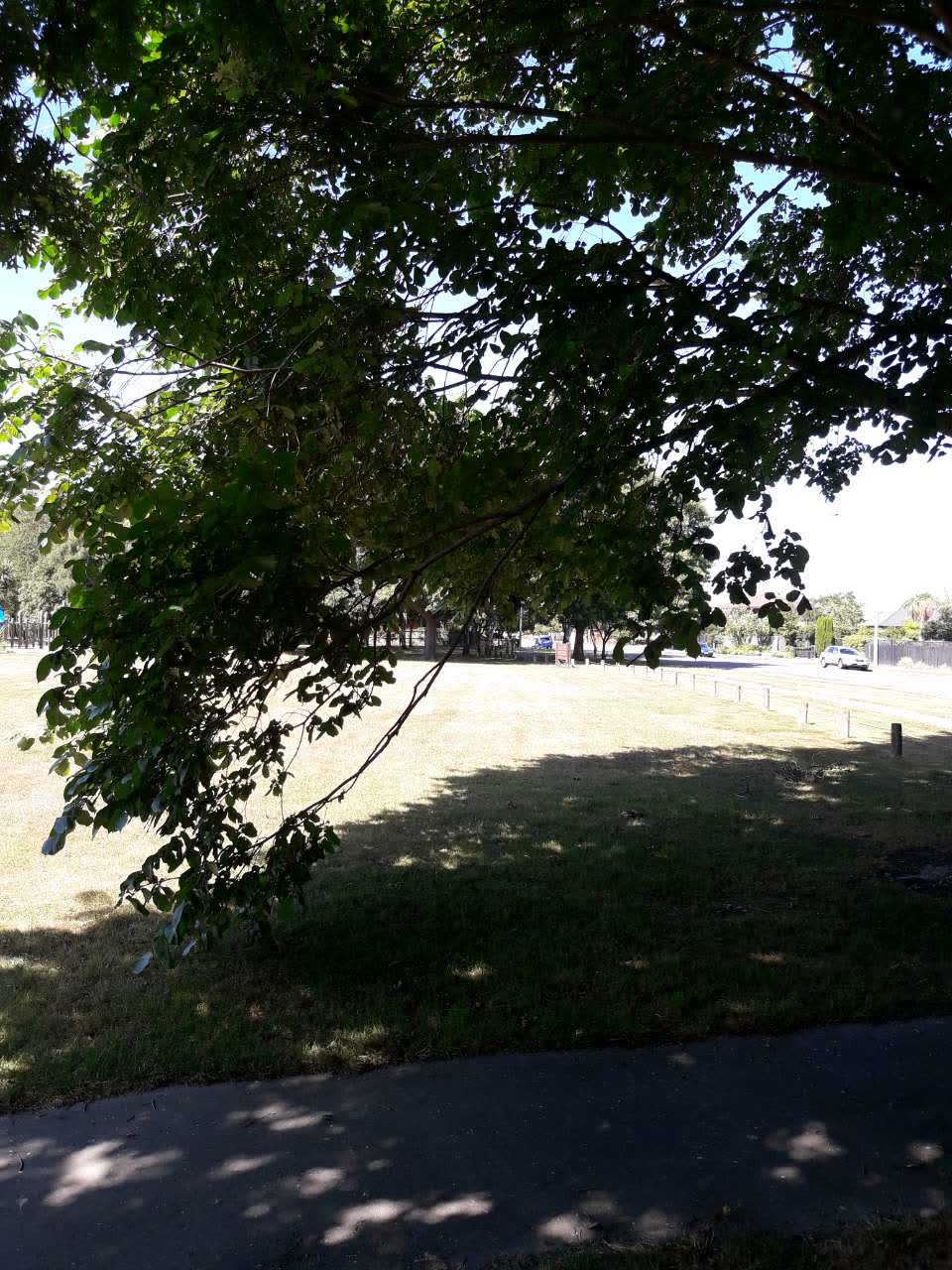 The photograph attached to this parks report