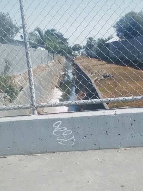 Graffiti — a report photo