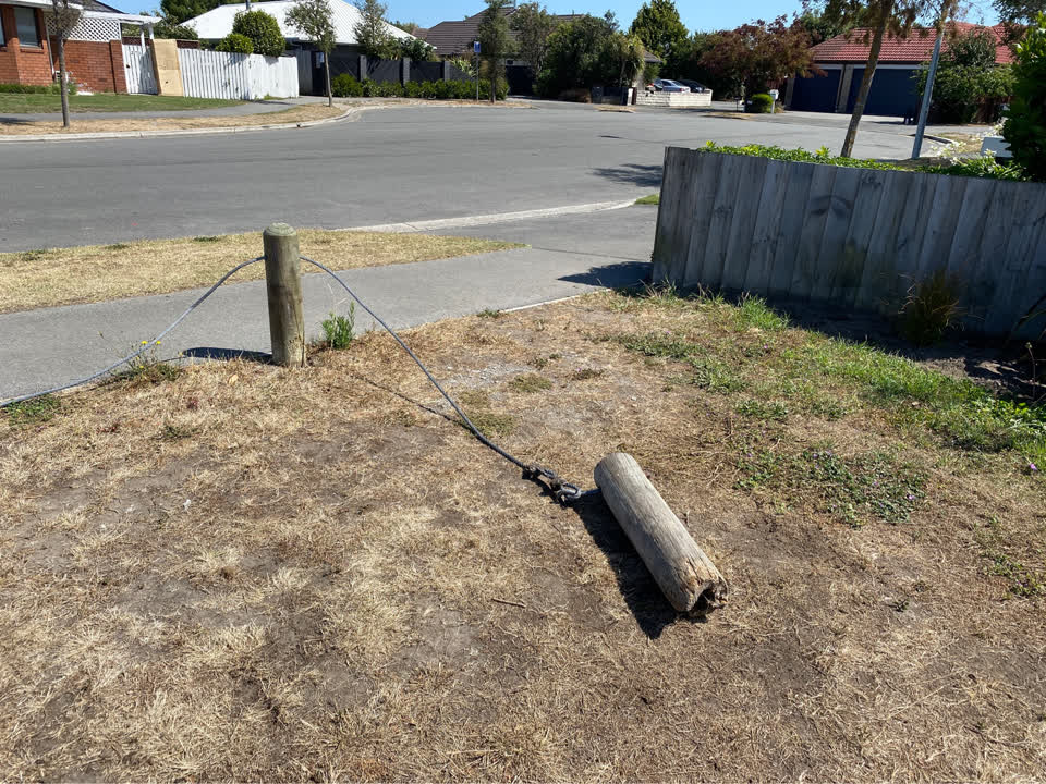 The photograph attached to this parks report
