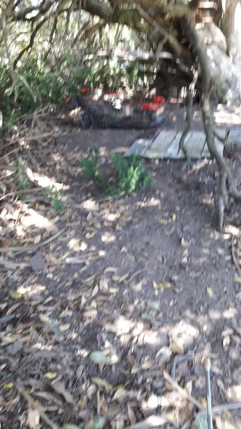 Parks, a report photo