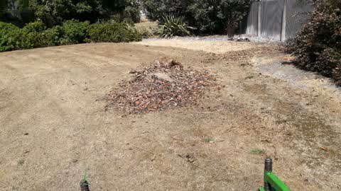 Parks, a report photo