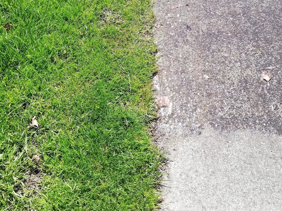 The photograph attached to this water supply report