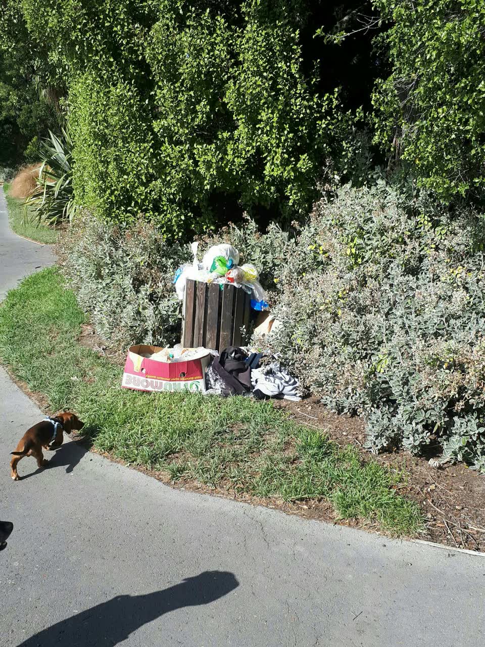 The photograph attached to this rubbish/recycling report