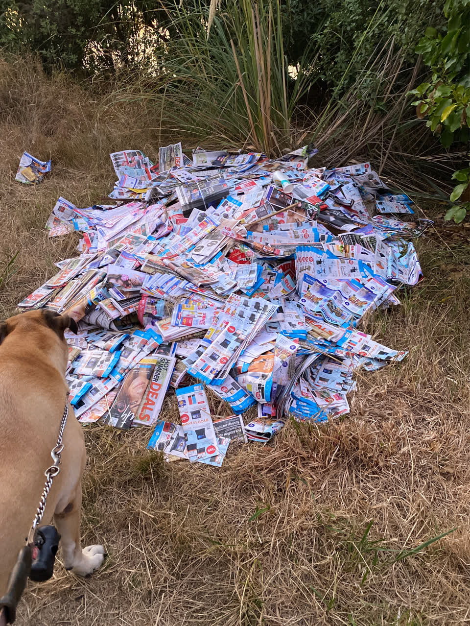 The photograph attached to this rubbish/recycling report