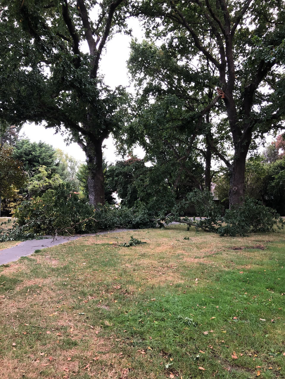 The photograph attached to this parks report