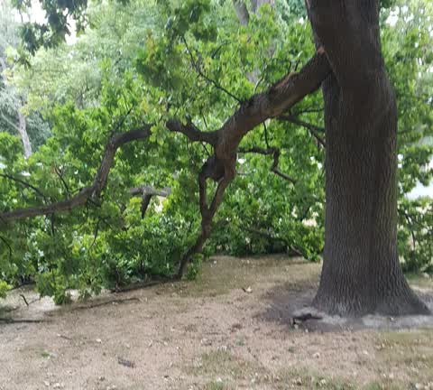 Parks, a report photo