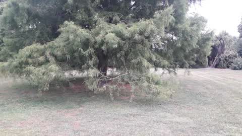 Parks, a report photo
