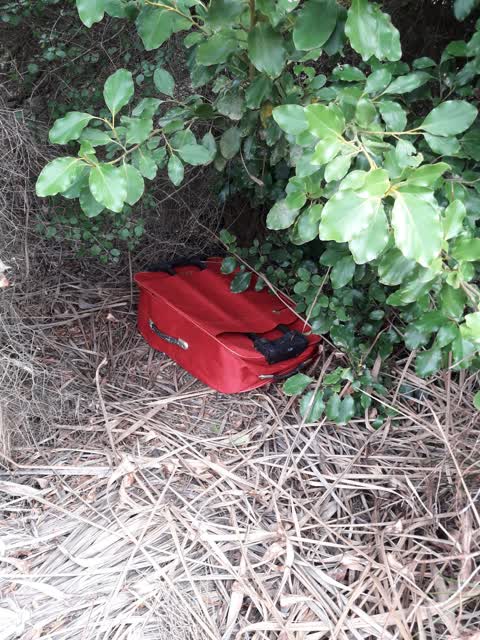 Rubbish/Recycling — a report photo