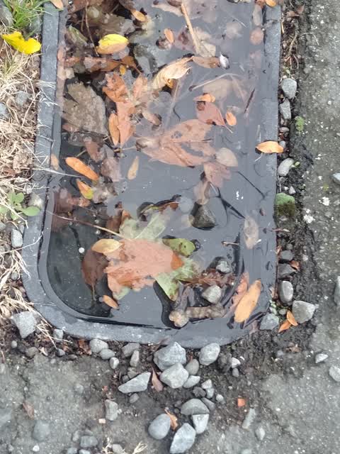 Water Supply, a report photo