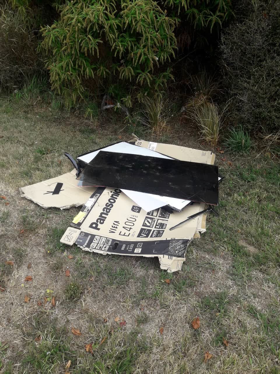 The photograph attached to this parks report