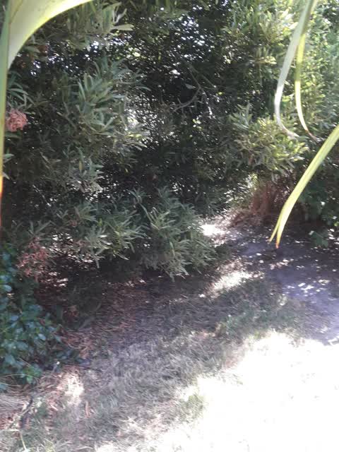 Parks, a report photo
