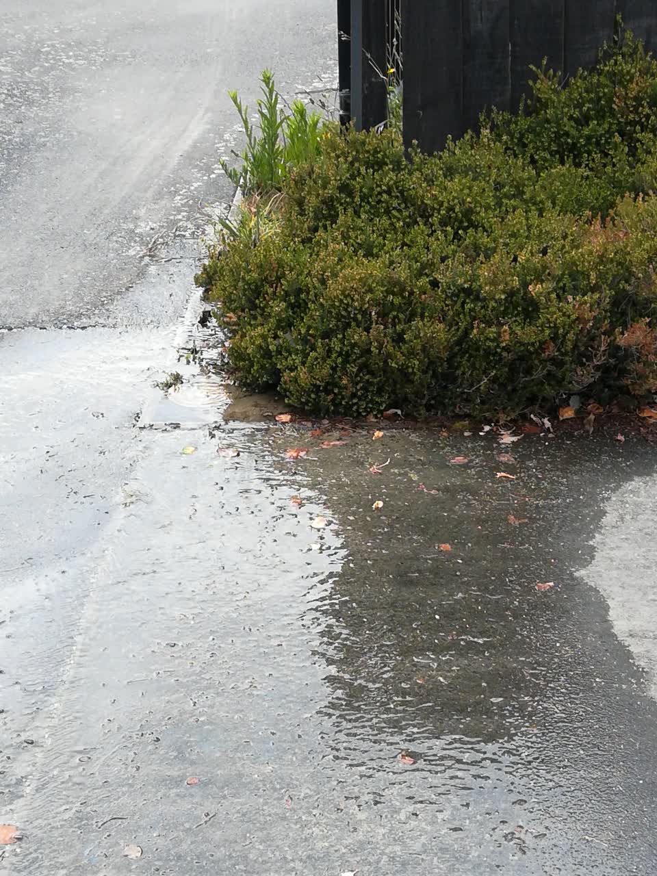 The photograph attached to this water supply report