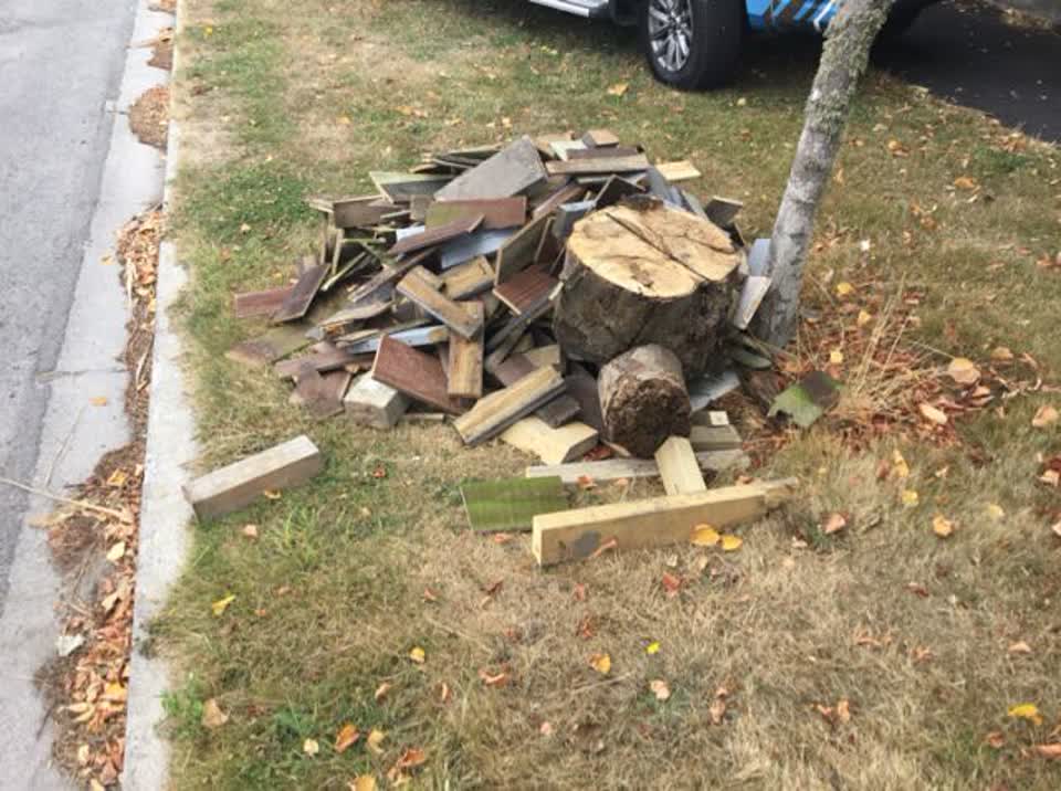 The photograph attached to this rubbish/recycling report
