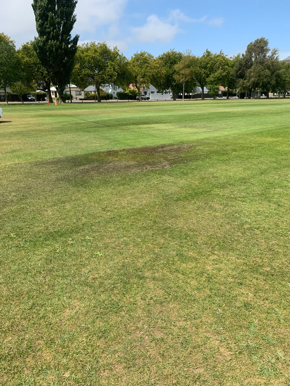 The photograph attached to this parks report