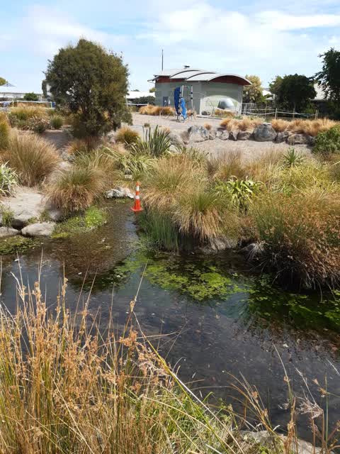 Parks — a report photo