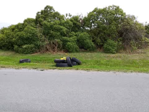 Rubbish/Recycling, a report photo