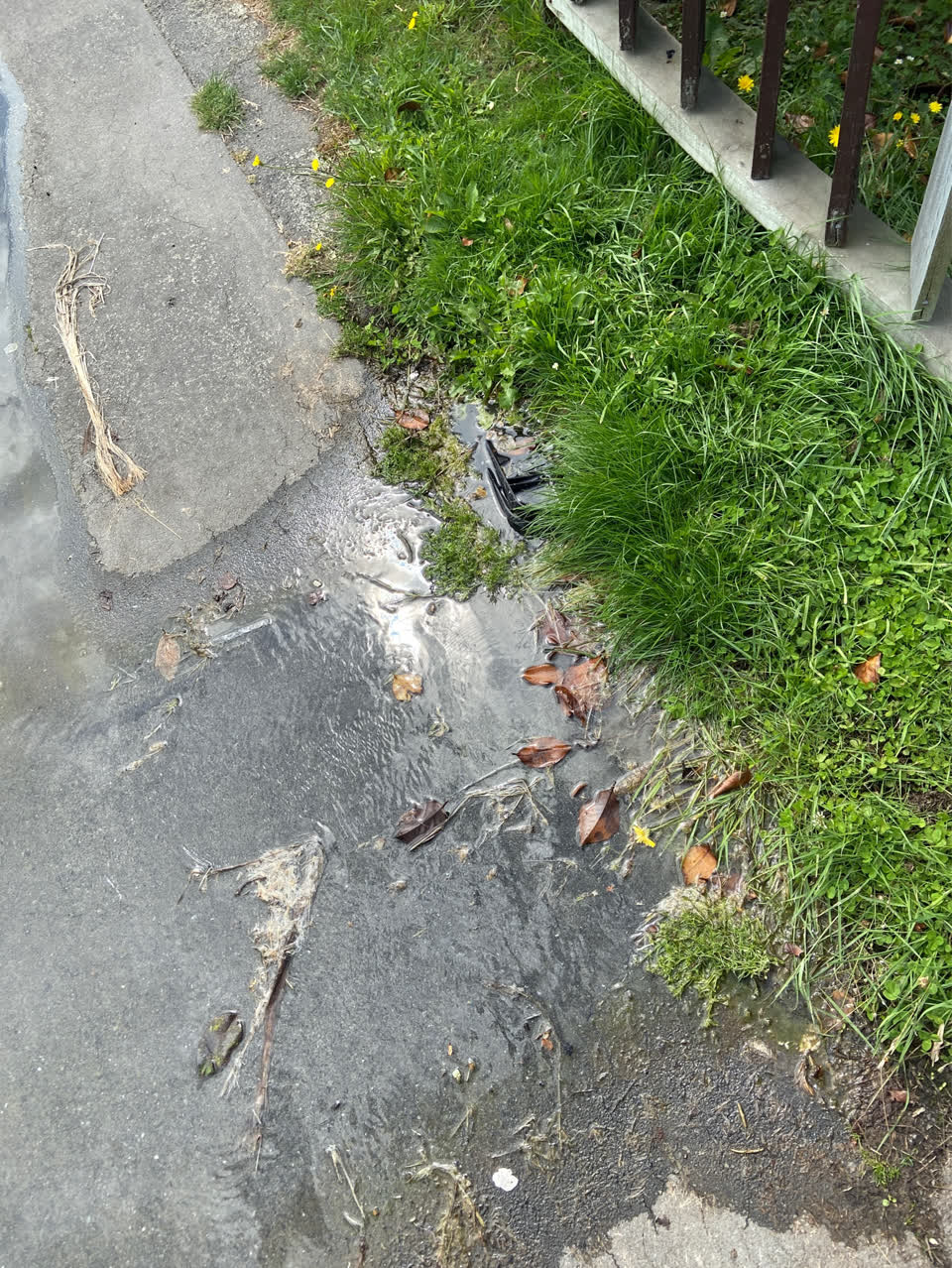 The photograph attached to this water supply report
