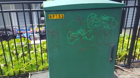 Graffiti, a report photo