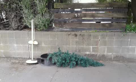 Rubbish/Recycling, a report photo