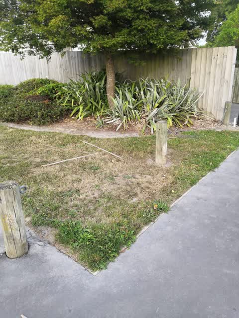 Parks, a report photo