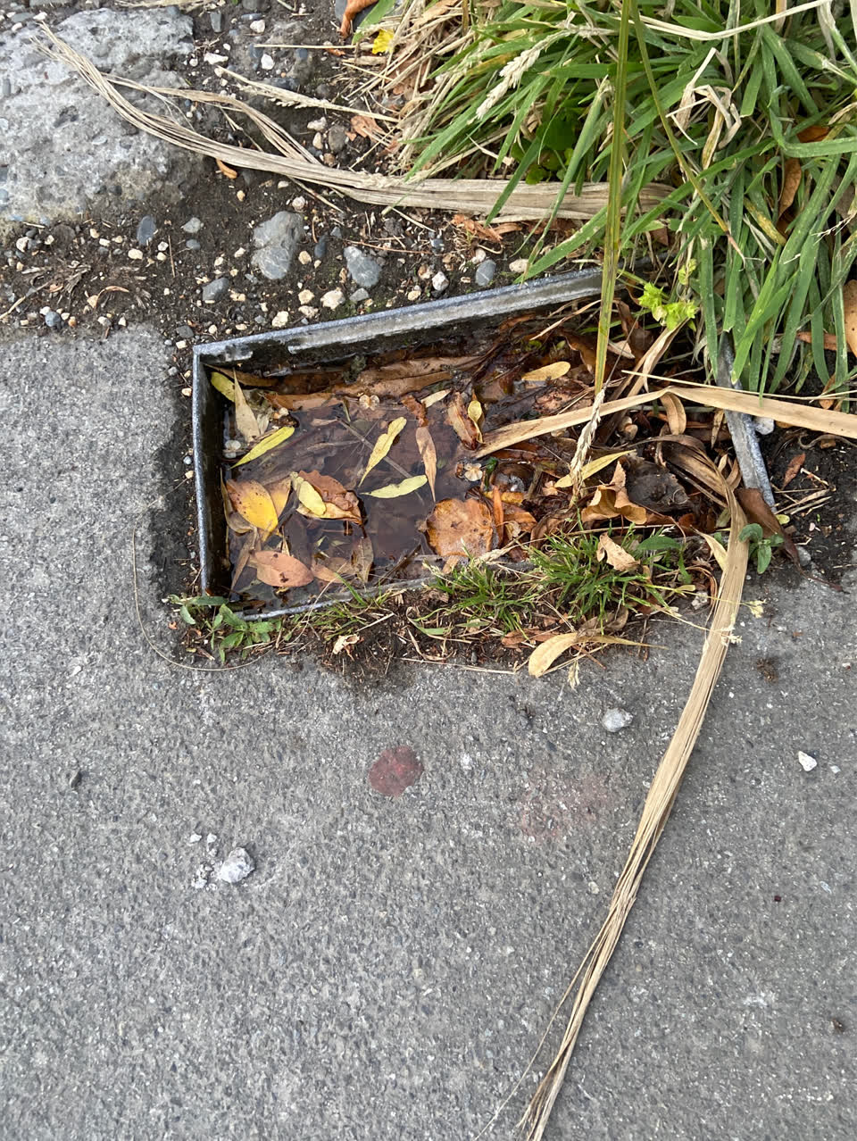 The photograph attached to this roading/streets report