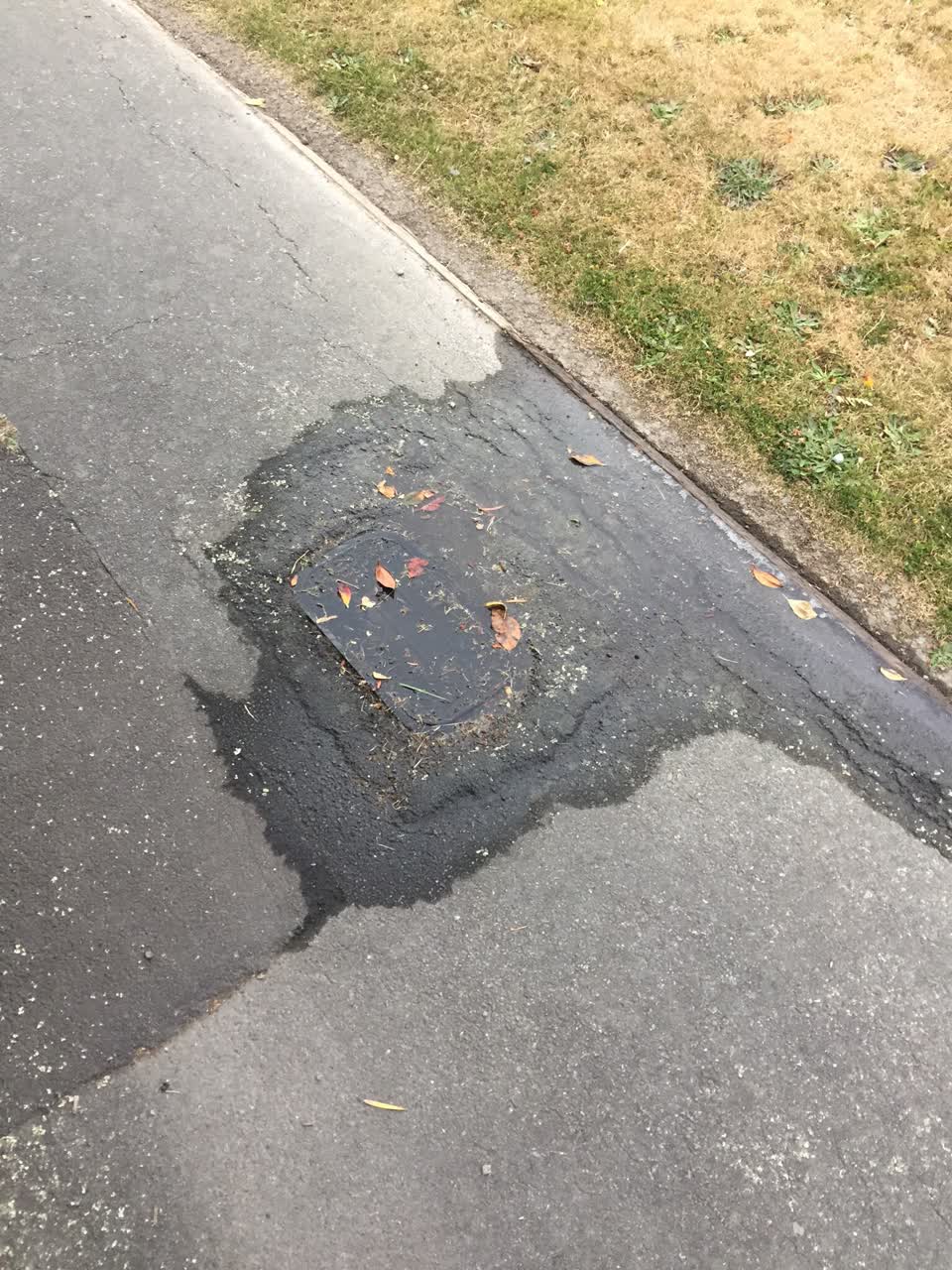 The photograph attached to this water supply report