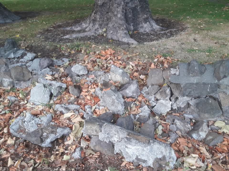 The photograph attached to this parks report