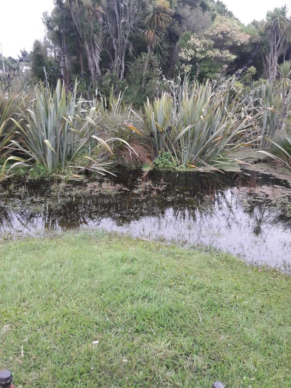The photograph attached to this parks report