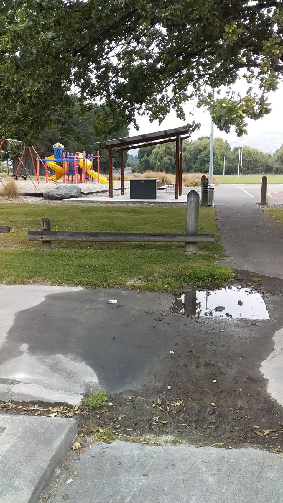 The photograph attached to this parks report